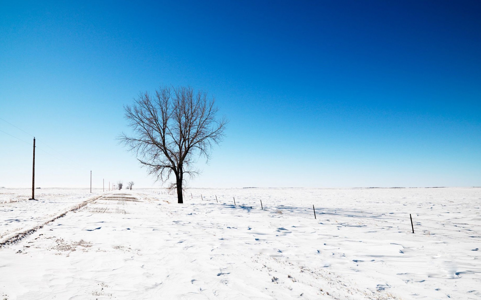 Alone Snow Nature