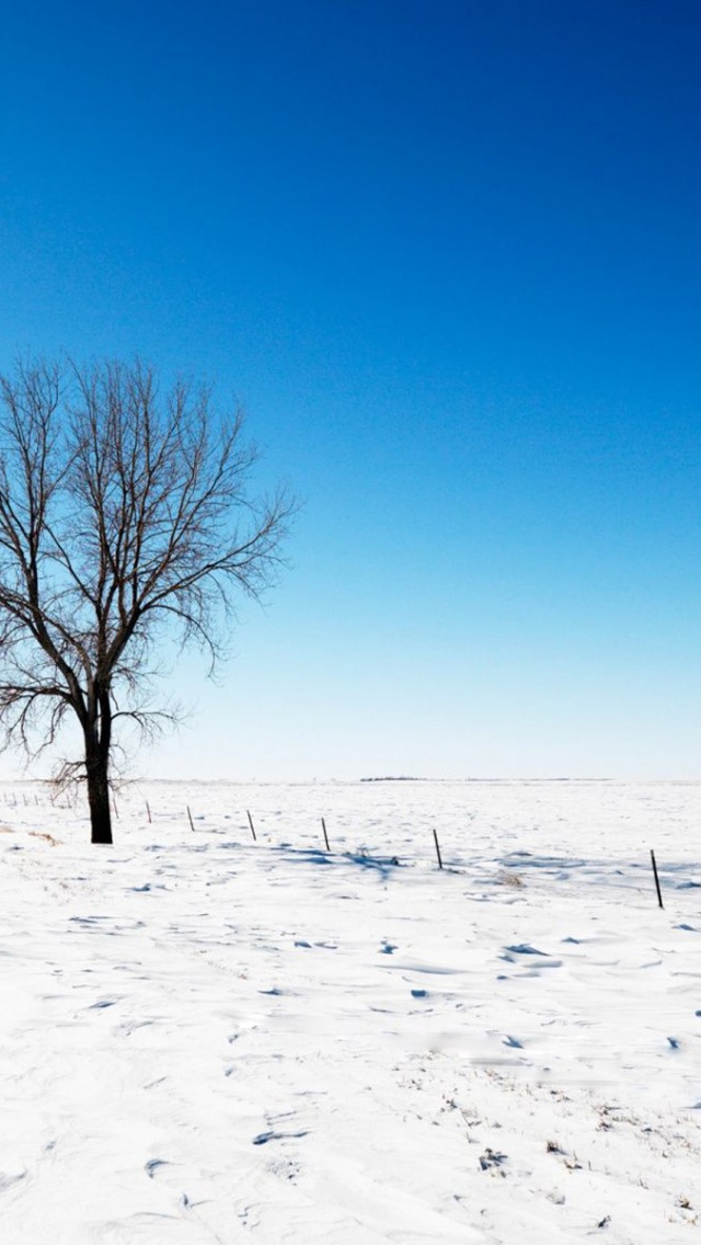 Alone Snow Nature