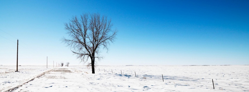 Alone Snow Nature