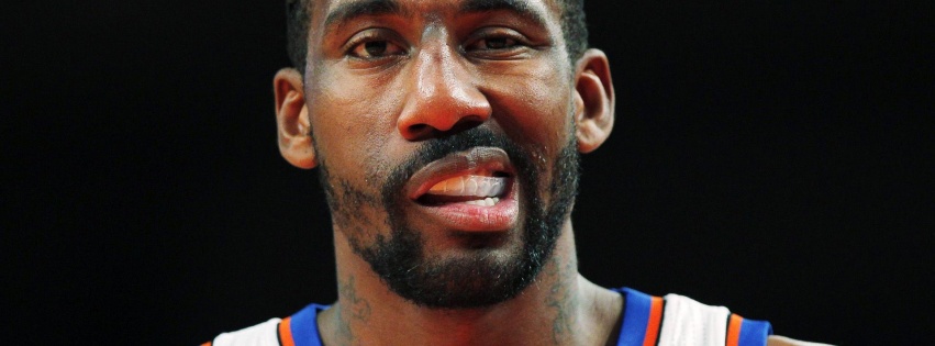 Amare Stoudemire