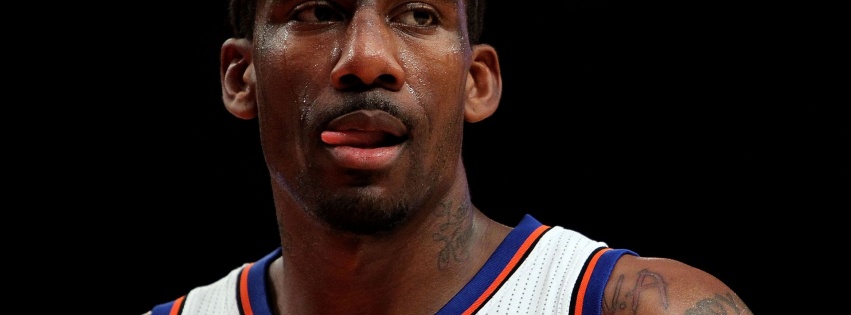 Amare Stoudemire1