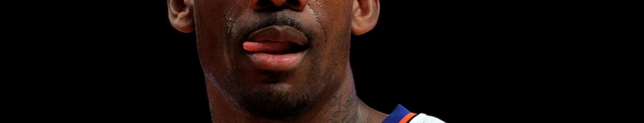 Amare Stoudemire1