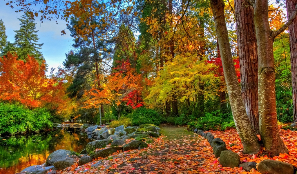 Amazing Autumn Colors