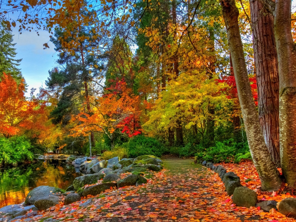 Amazing Autumn Colors