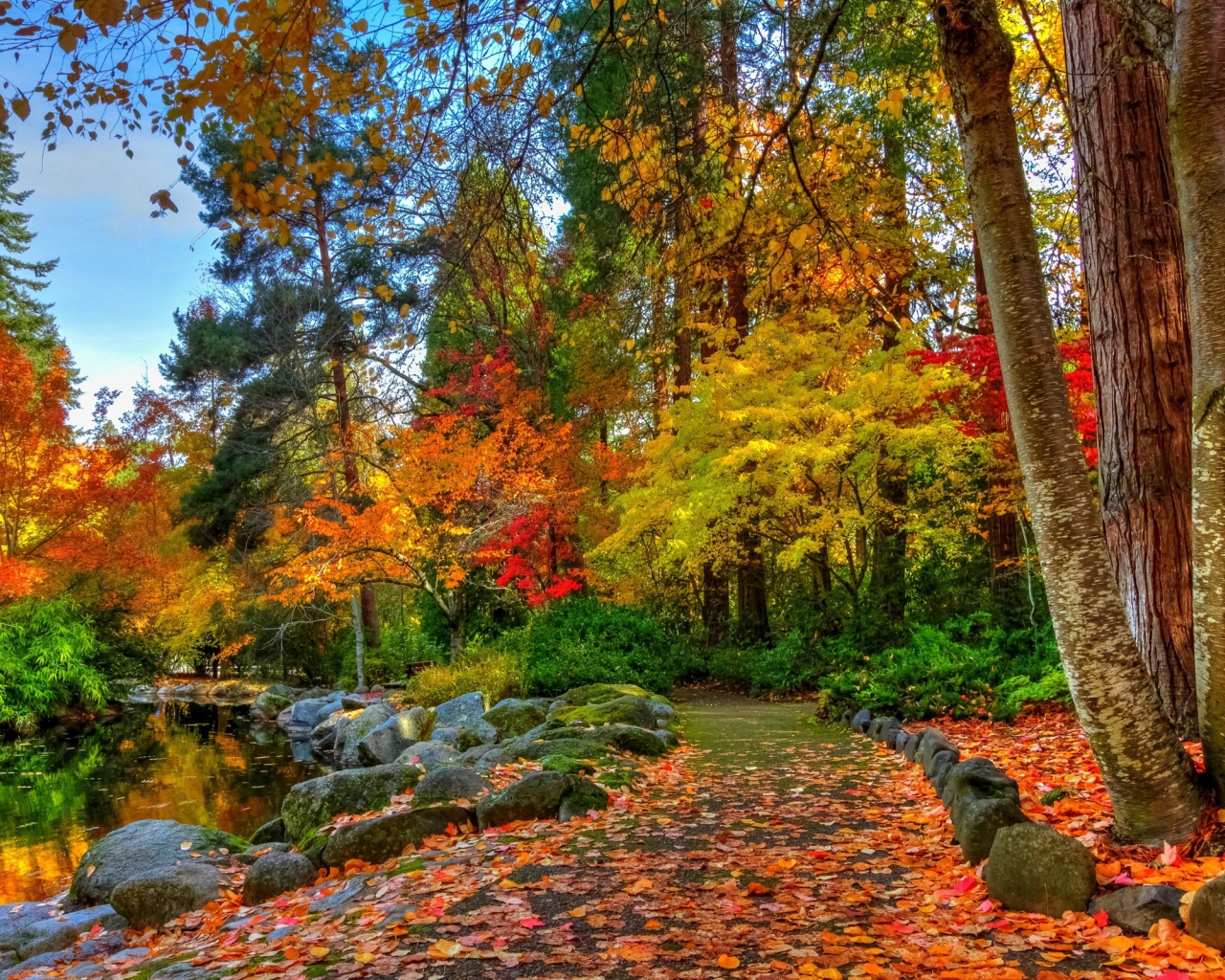 Amazing Autumn Colors