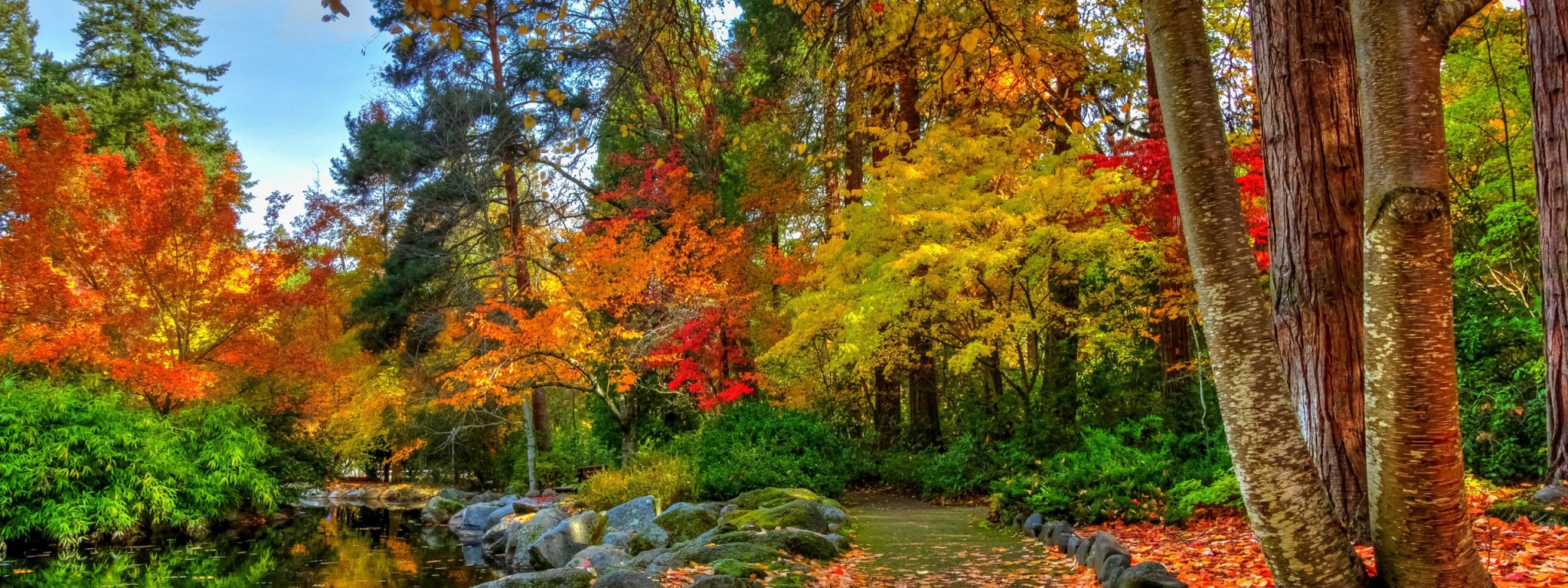 Amazing Autumn Colors