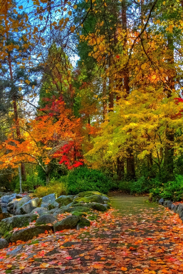 Amazing Autumn Colors