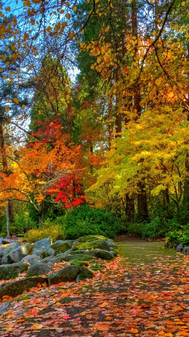 Amazing Autumn Colors