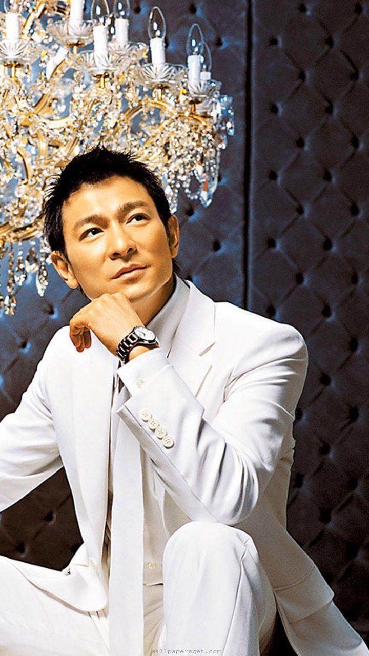 Andy Lau Hong Kong Cantopop Singer Actor Film Producer Superstar Successful Men