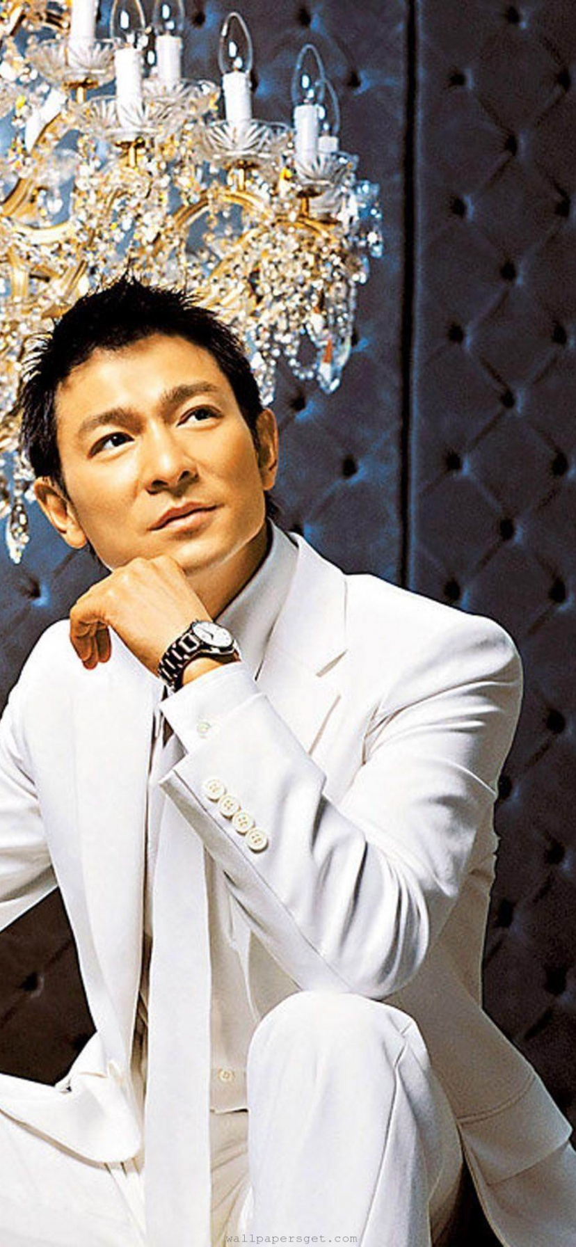 Andy Lau Hong Kong Cantopop Singer Actor Film Producer Superstar Successful Men