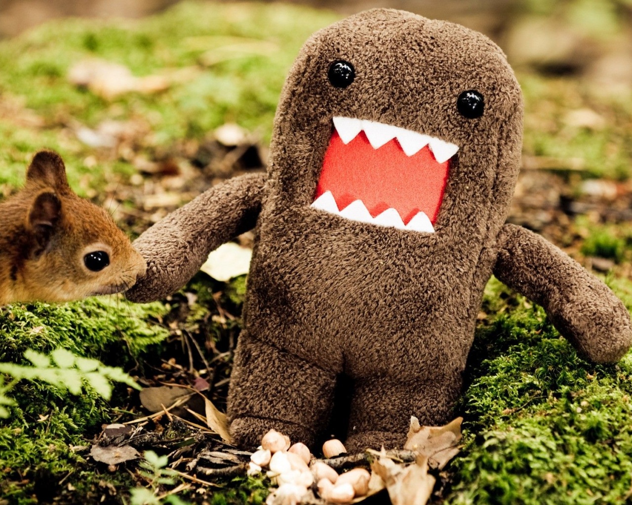 Animals Domo Funny