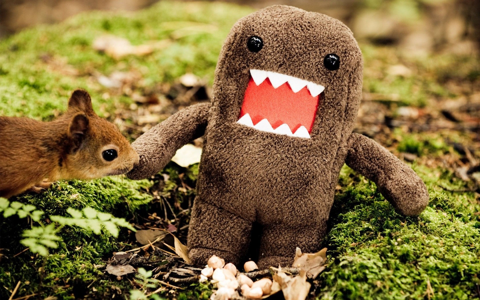 Animals Domo Funny