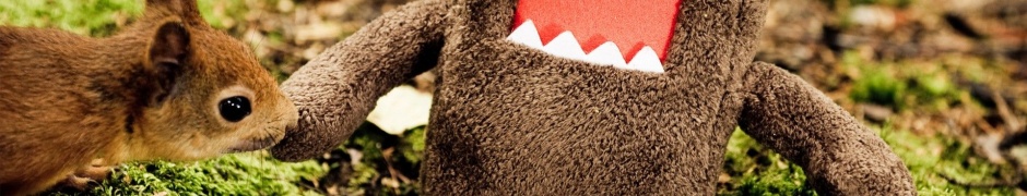 Animals Domo Funny