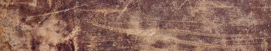 Antique Leather Book Cover Texture