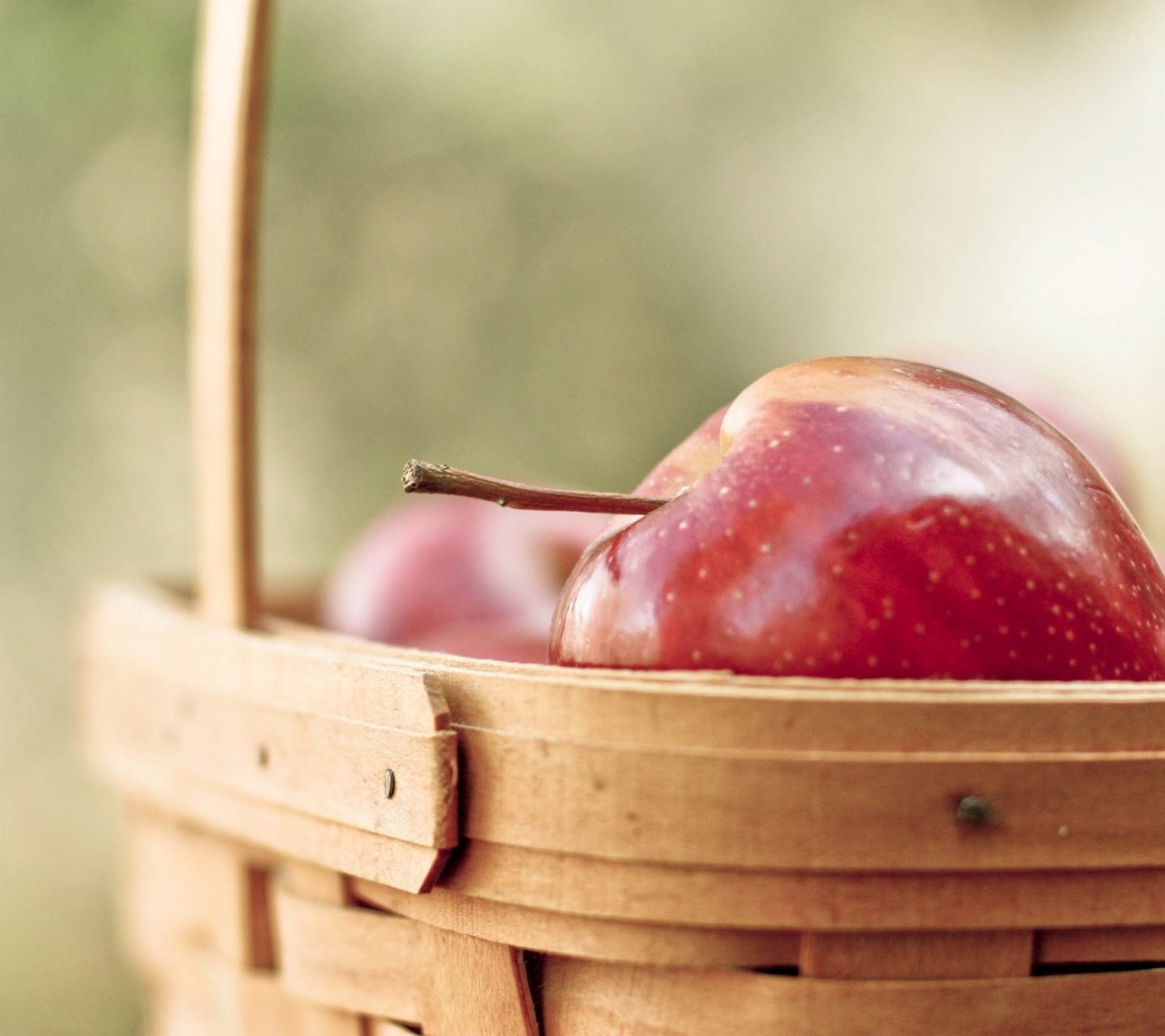 Apples Basket