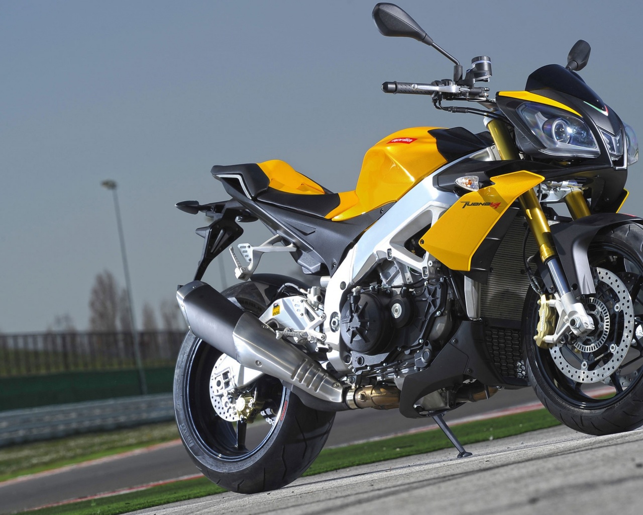 Aprilia Tuono V4 Motorcycles