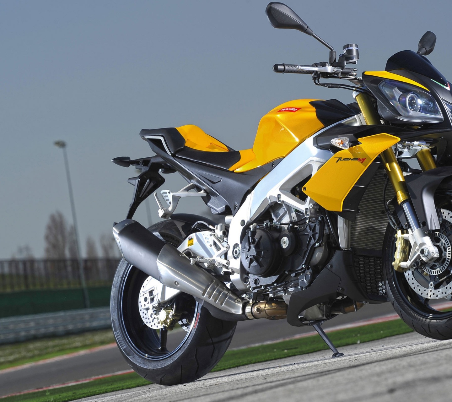 Aprilia Tuono V4 Motorcycles