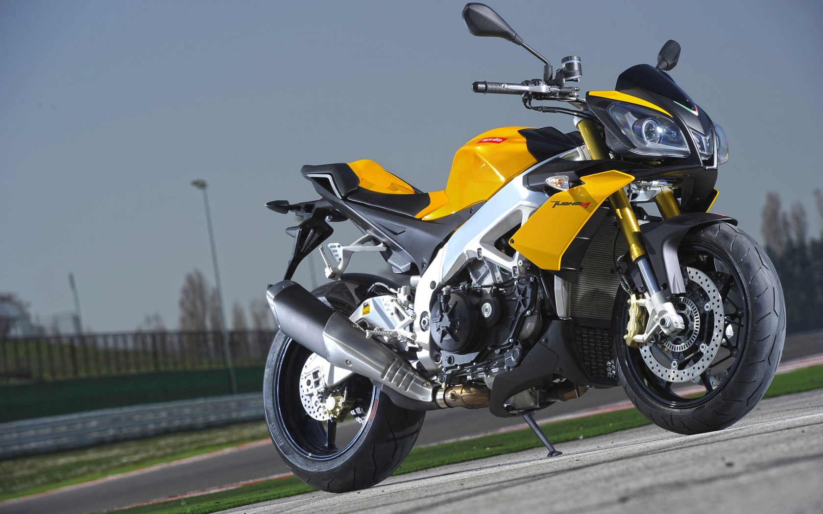 Aprilia Tuono V4 Motorcycles