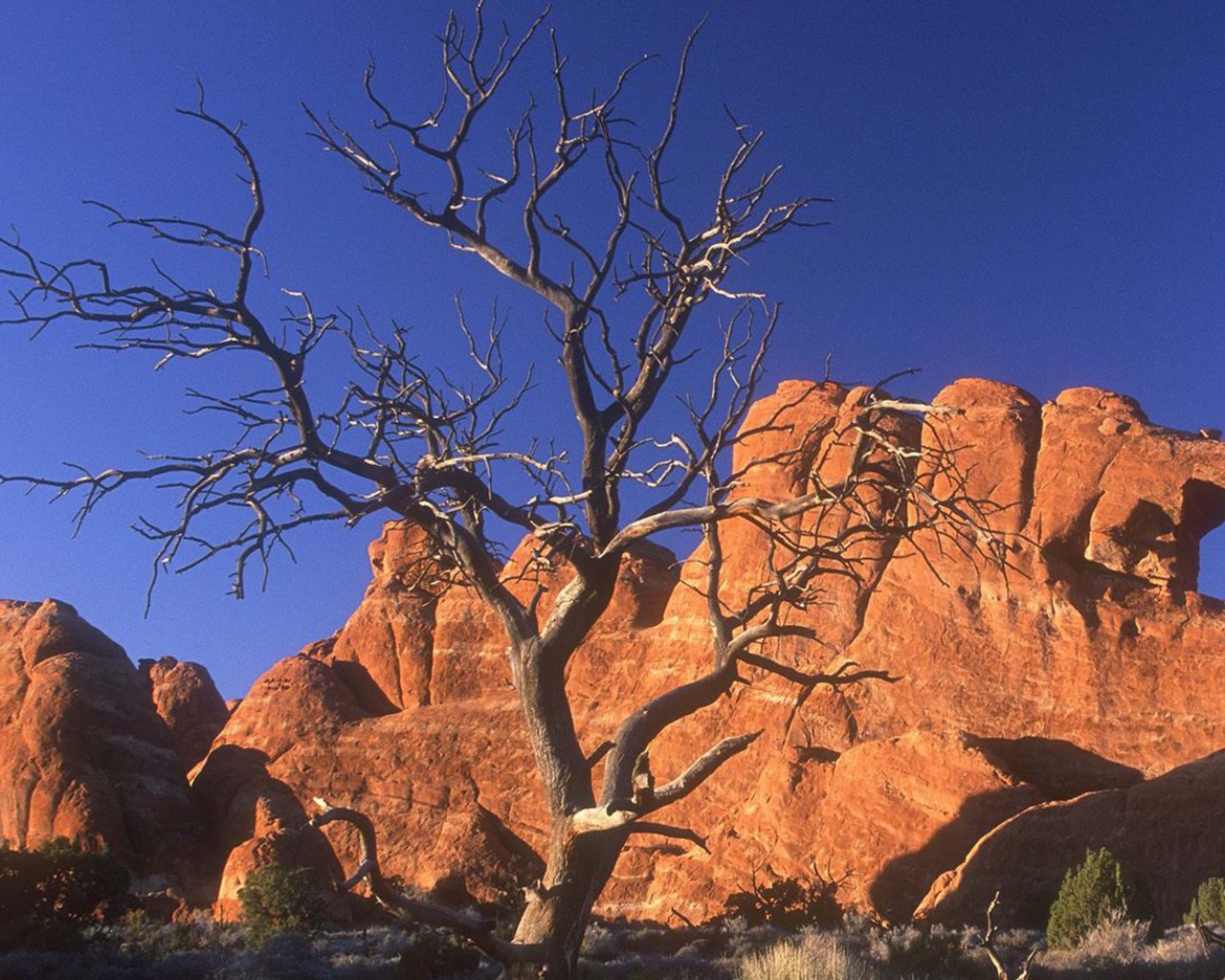 Arid Desert Utah