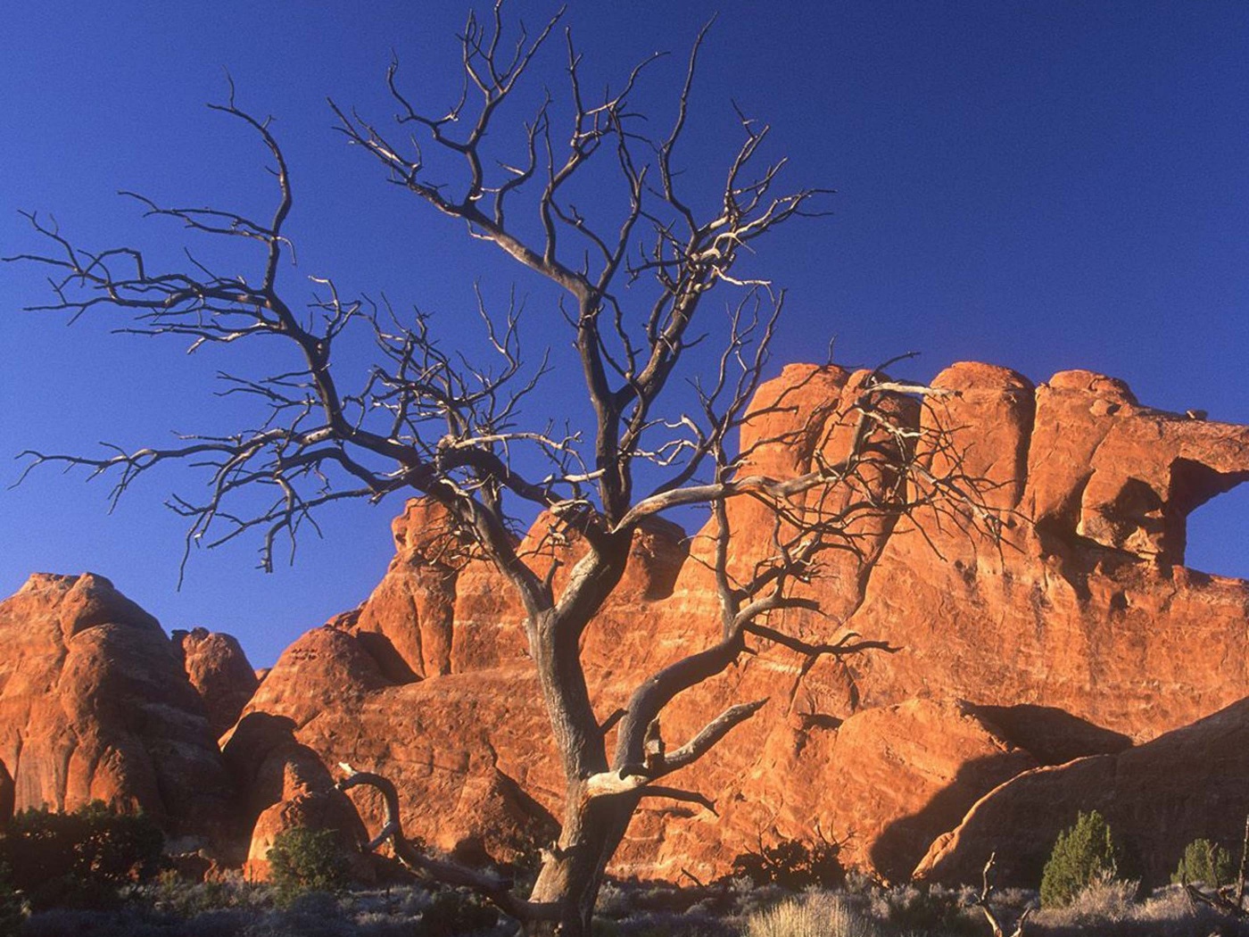 Arid Desert Utah