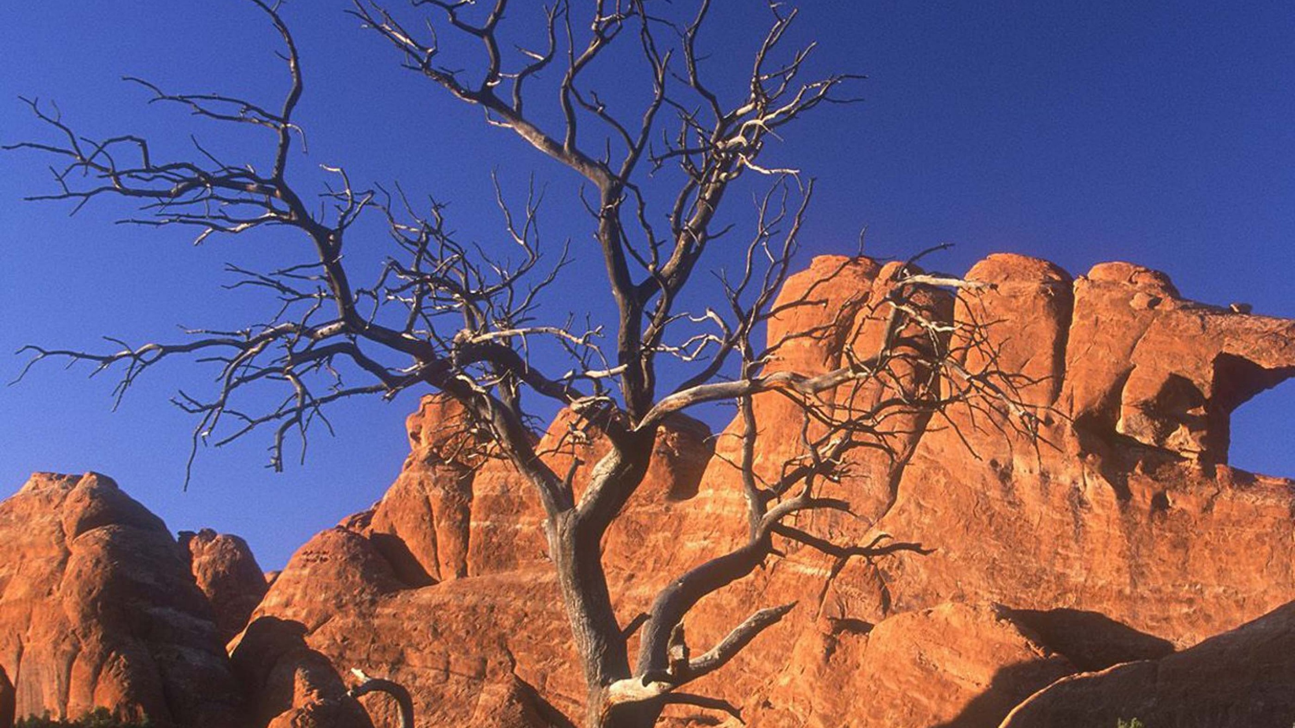 Arid Desert Utah