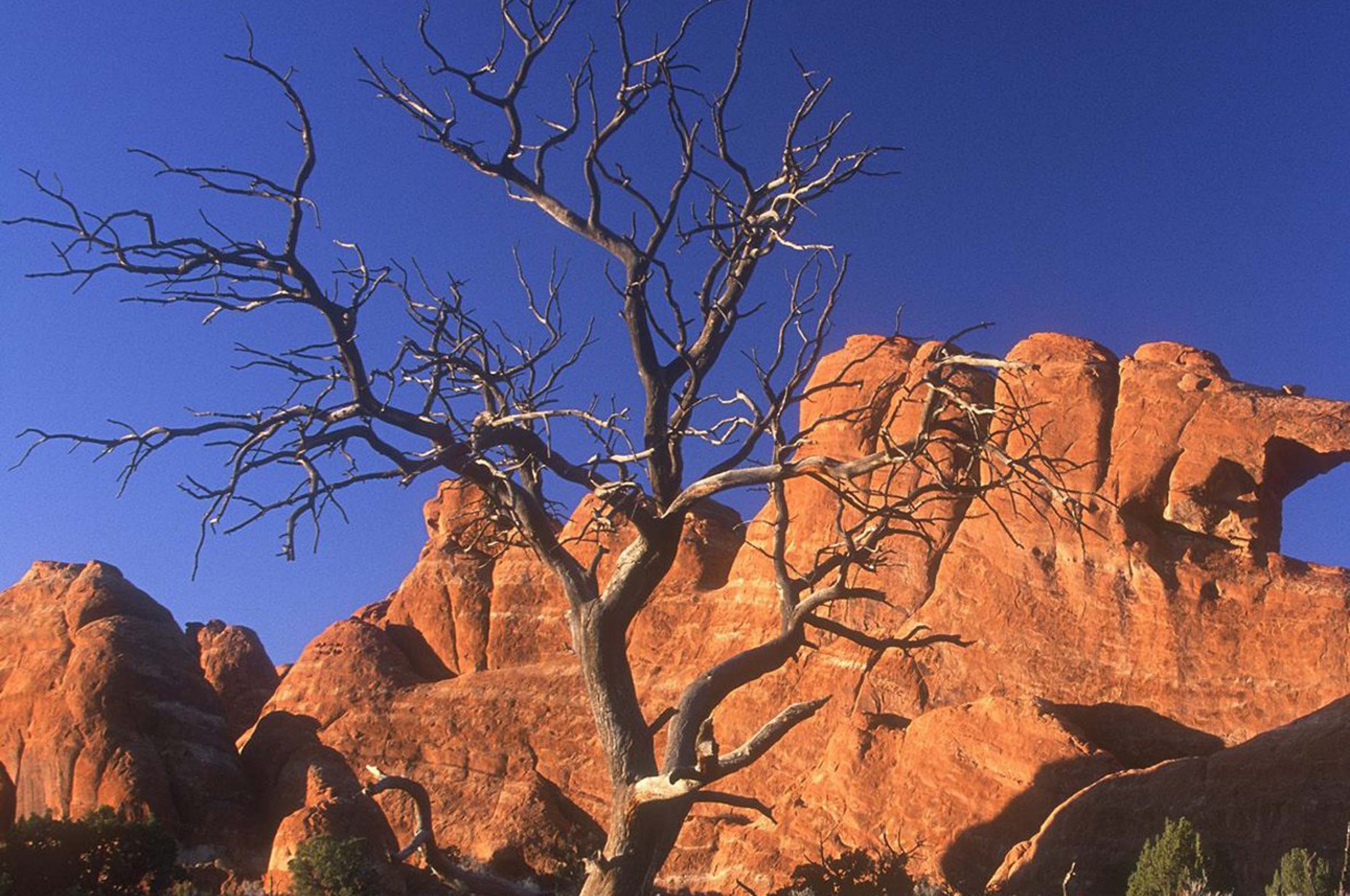 Arid Desert Utah