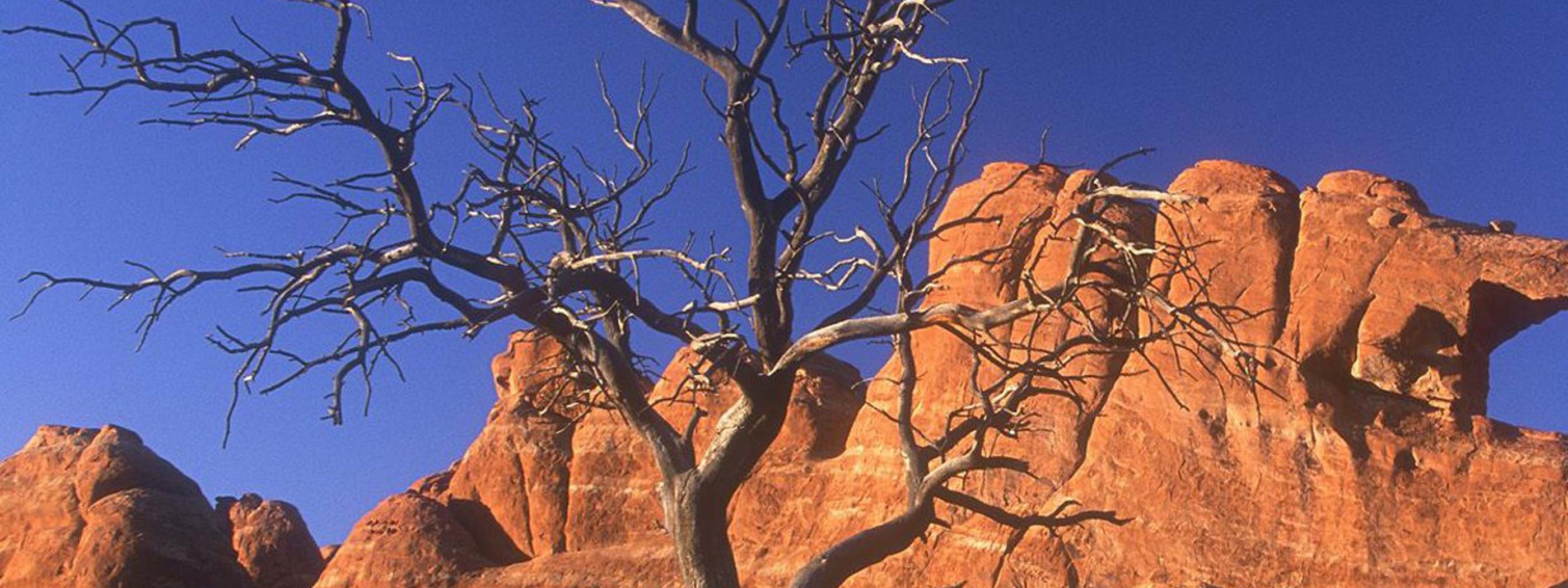 Arid Desert Utah