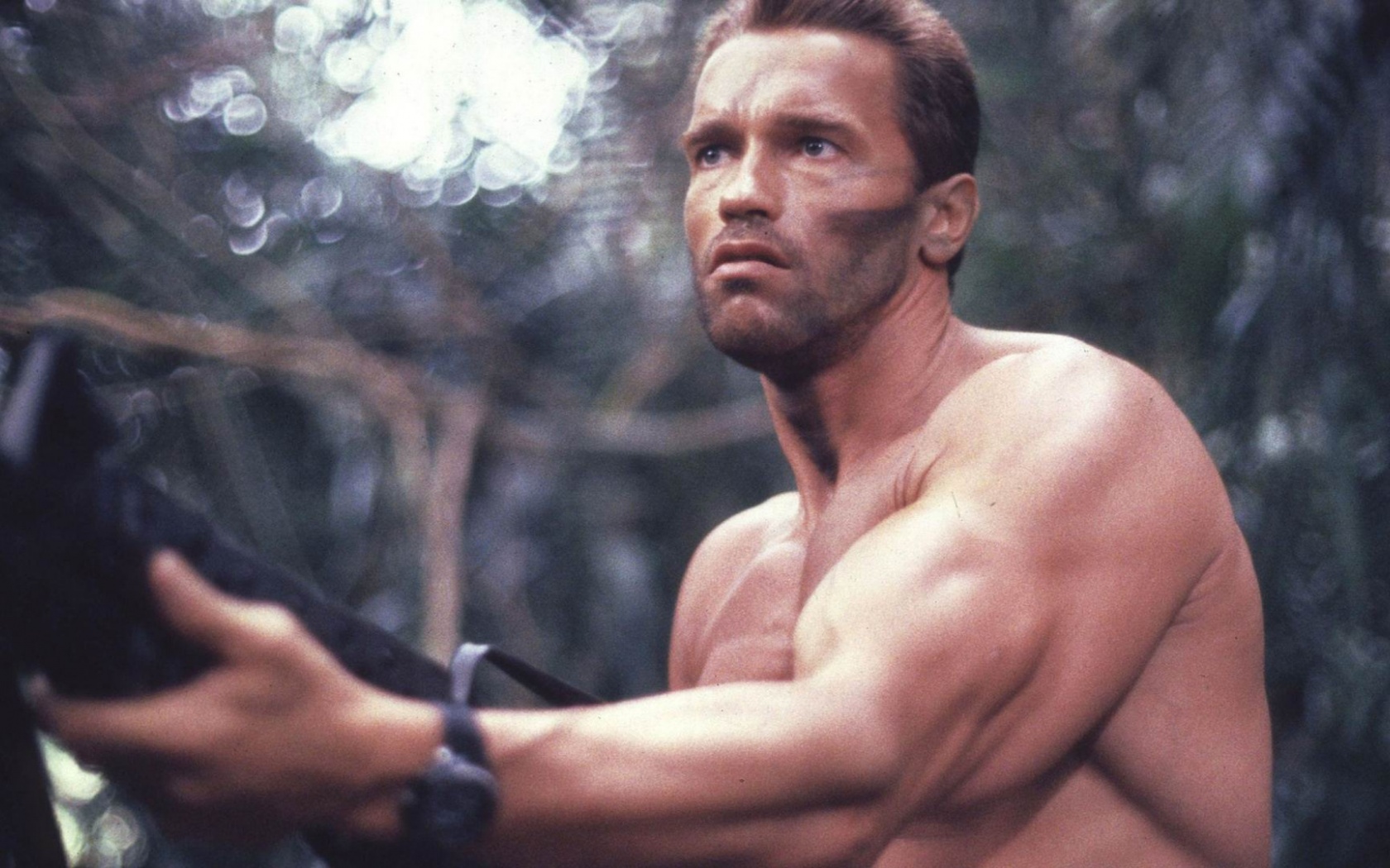 Arnold Schwarzenegger Predator