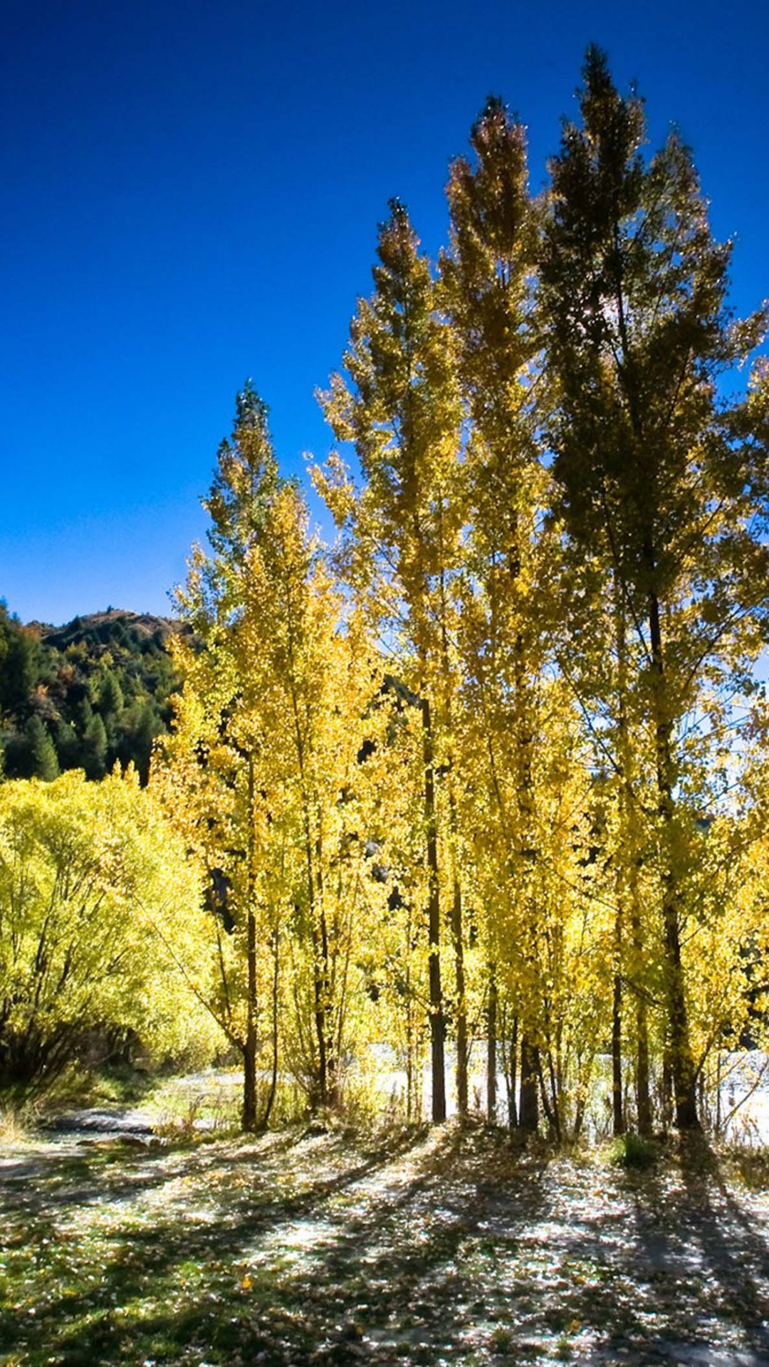 Arrowtown Autumn New Zealand