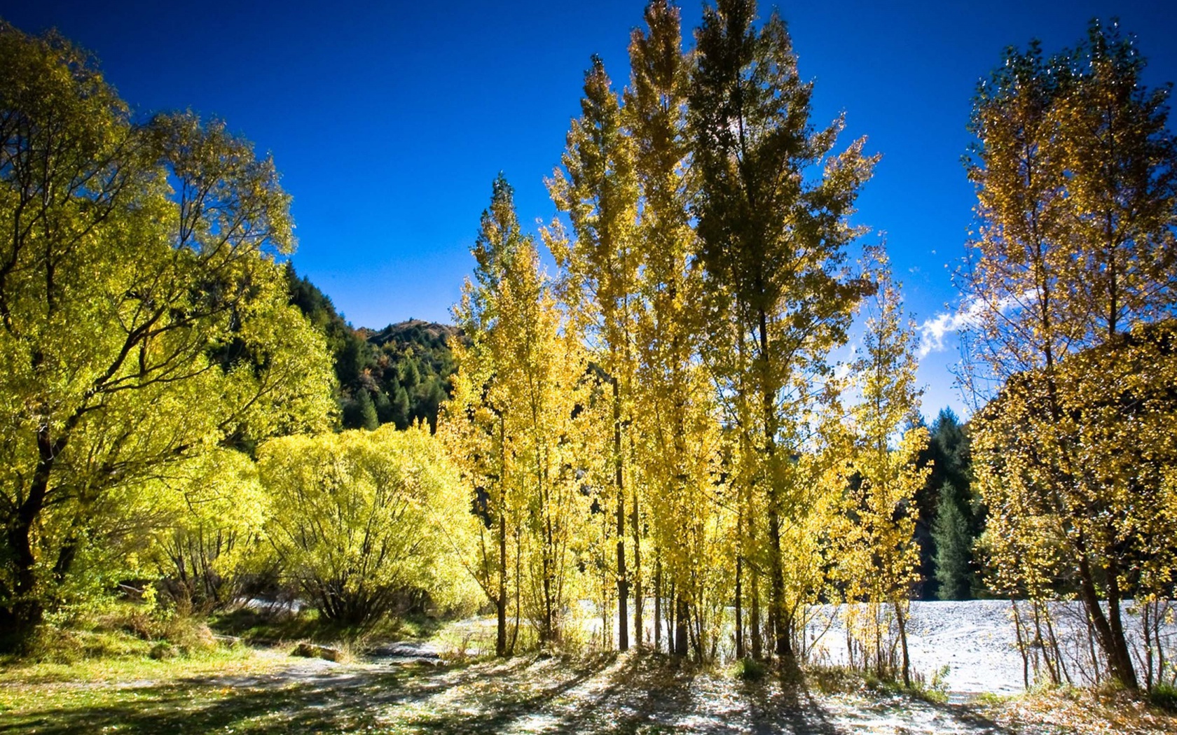 Arrowtown Autumn New Zealand