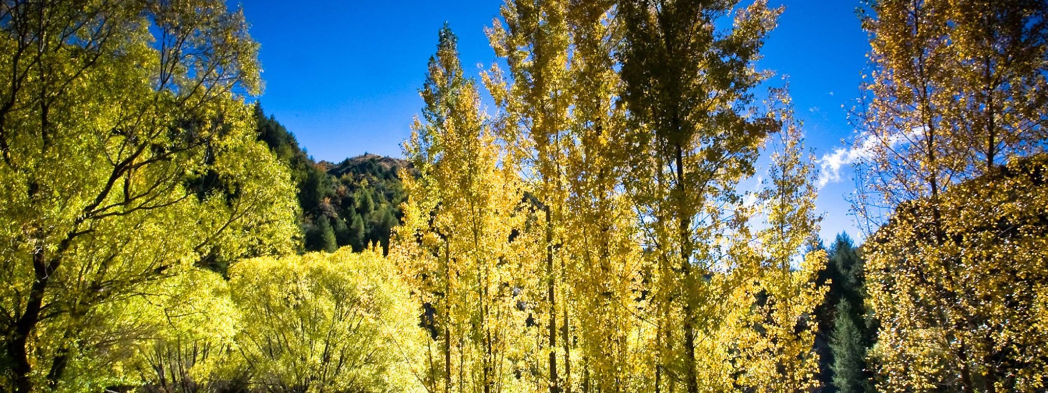 Arrowtown Autumn New Zealand