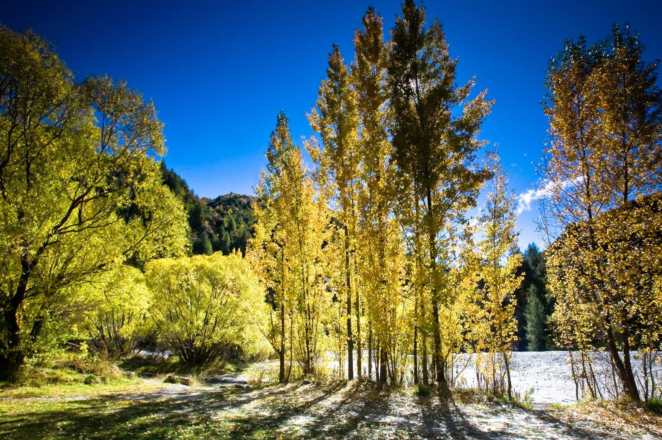 Arrowtown Autumn New Zealand