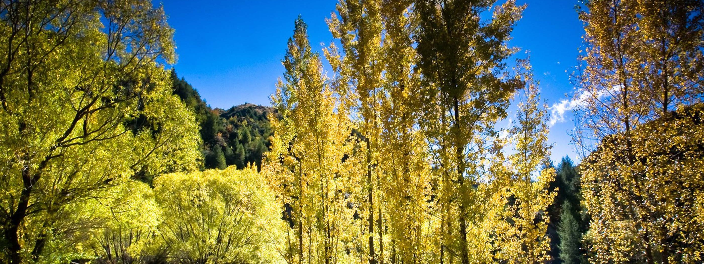 Arrowtown Autumn New Zealand