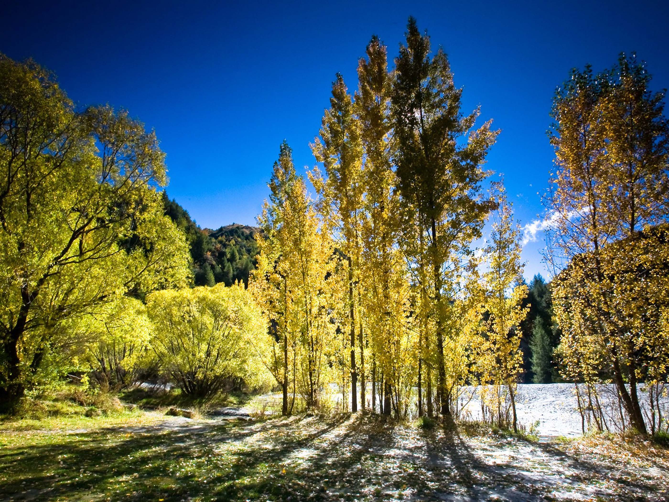 Arrowtown Autumn New Zealand