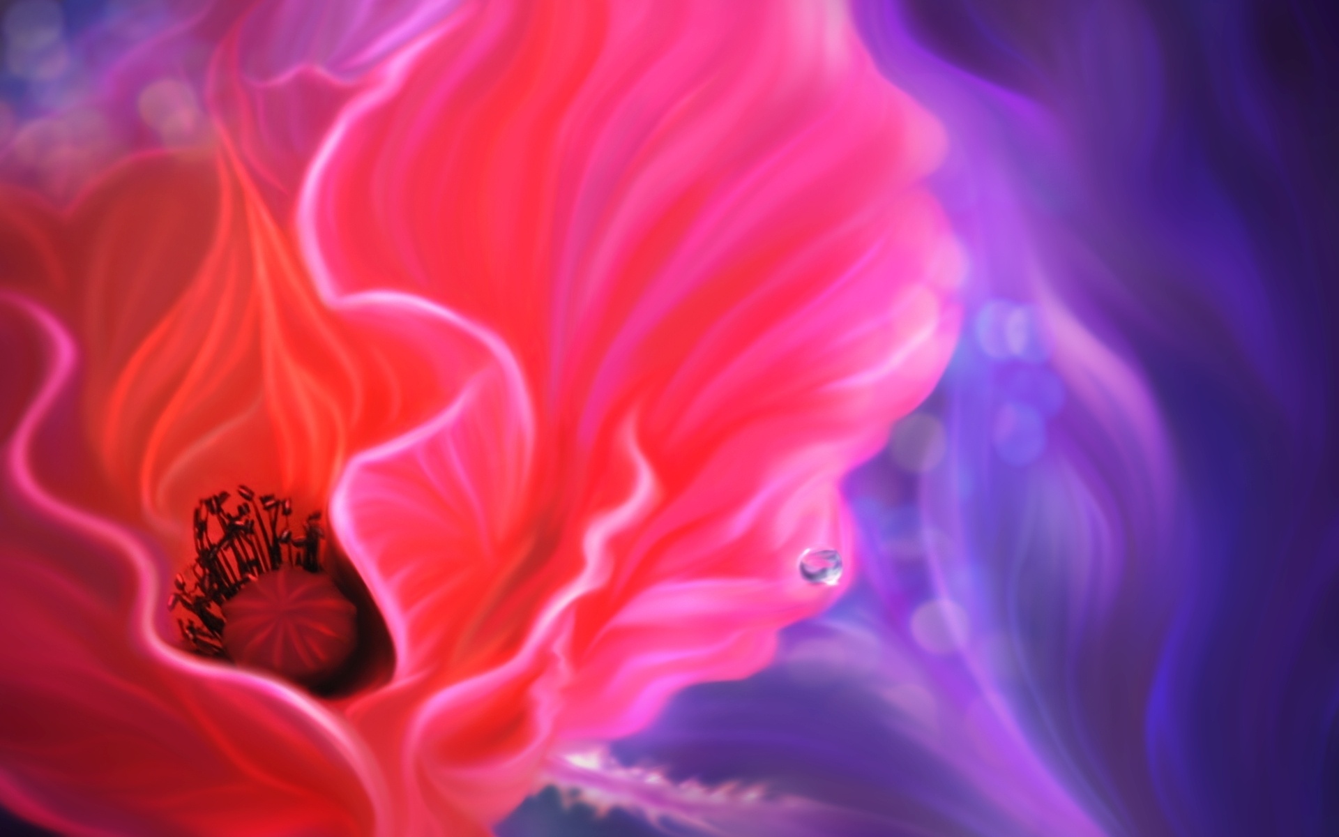 Art Flower Poppy Line Drop