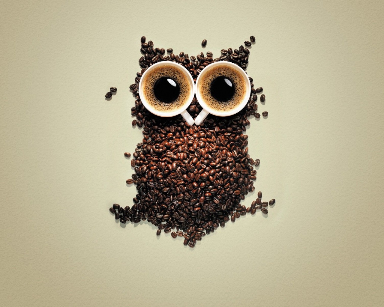 Artistic Coffee Funny Owls