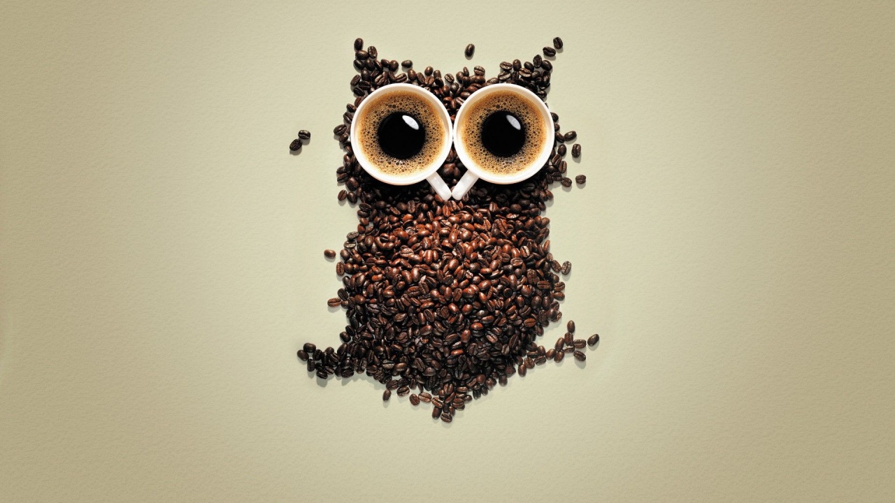 Artistic Coffee Funny Owls