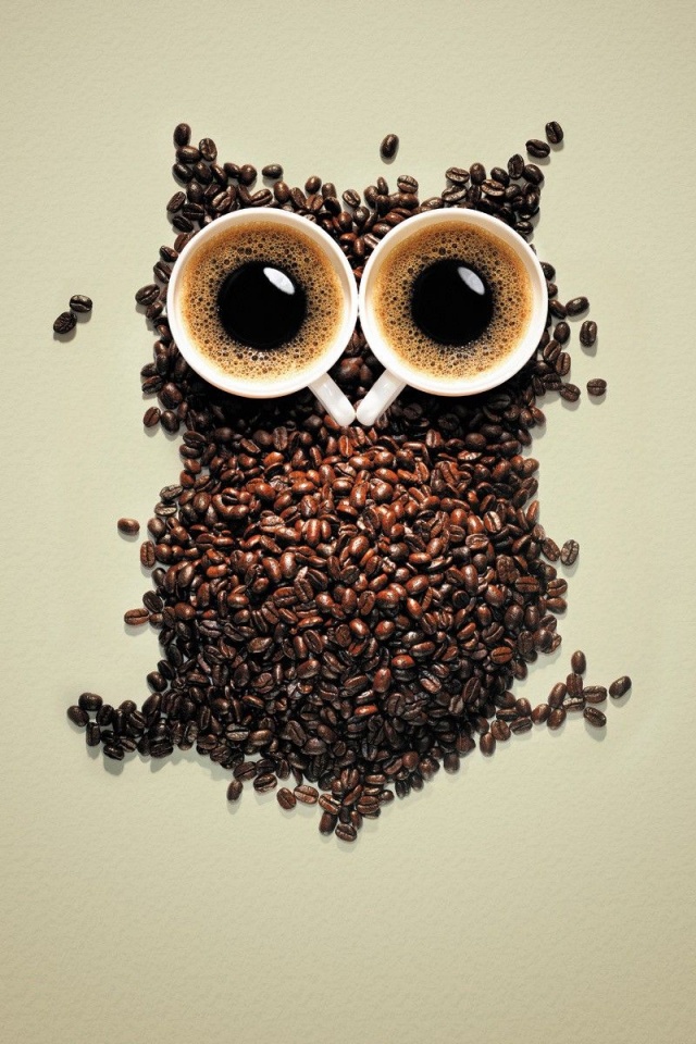 Artistic Coffee Funny Owls