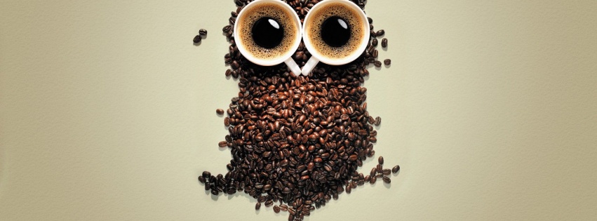 Artistic Coffee Funny Owls