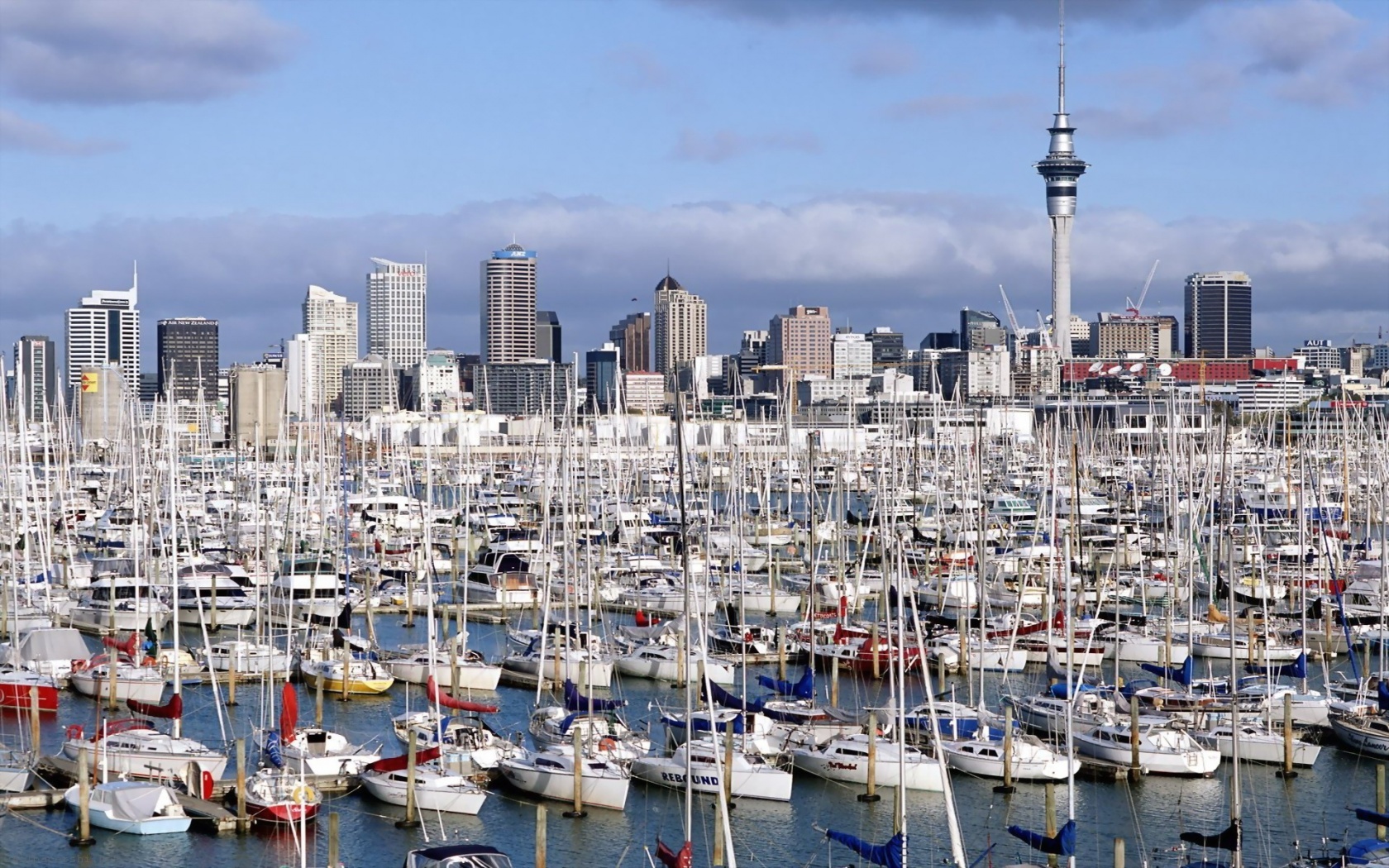 Auckland New Zealand Marina Yacht North Island