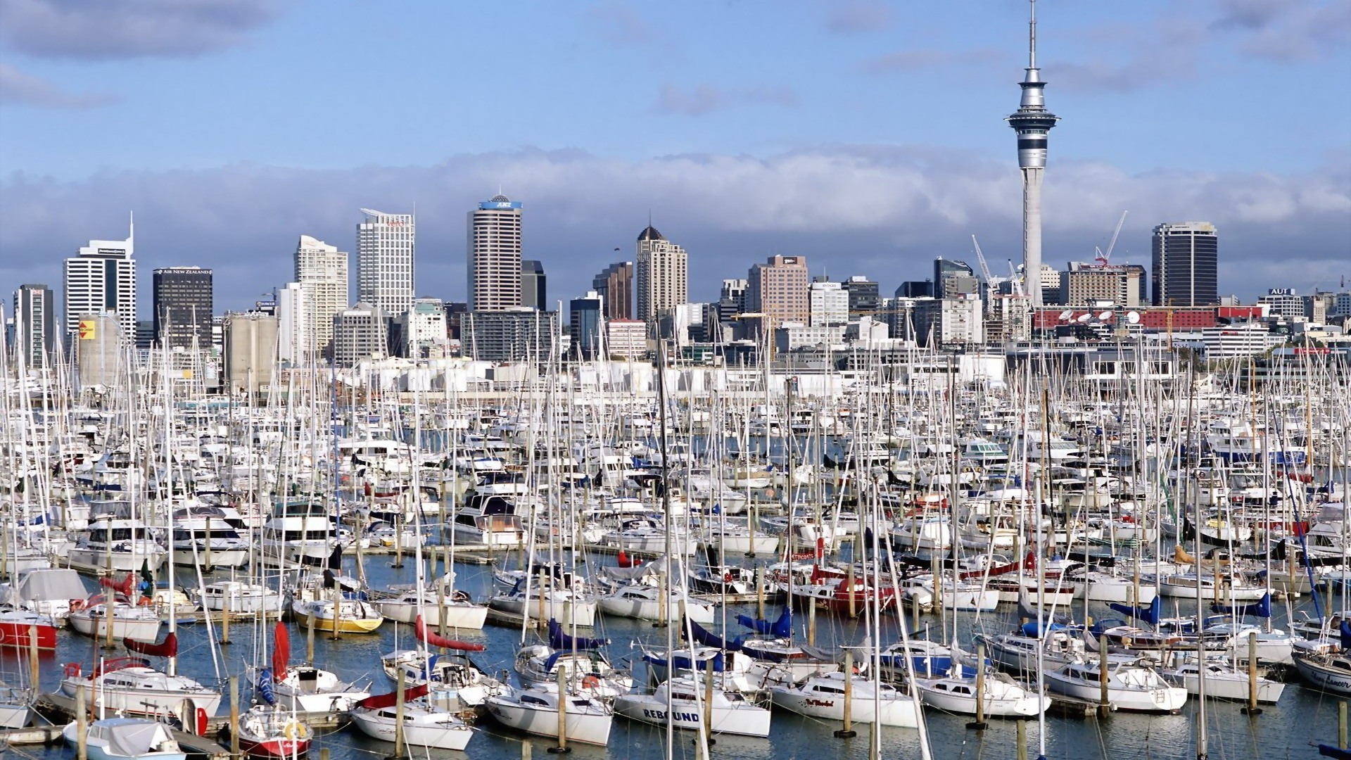 Auckland New Zealand Marina Yacht North Island