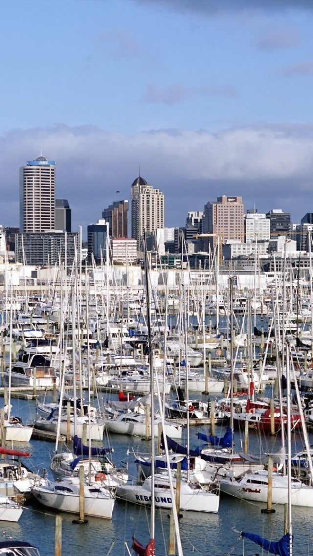 Auckland New Zealand Marina Yacht North Island