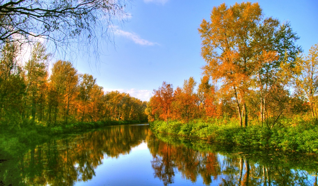 Autumn Color And River