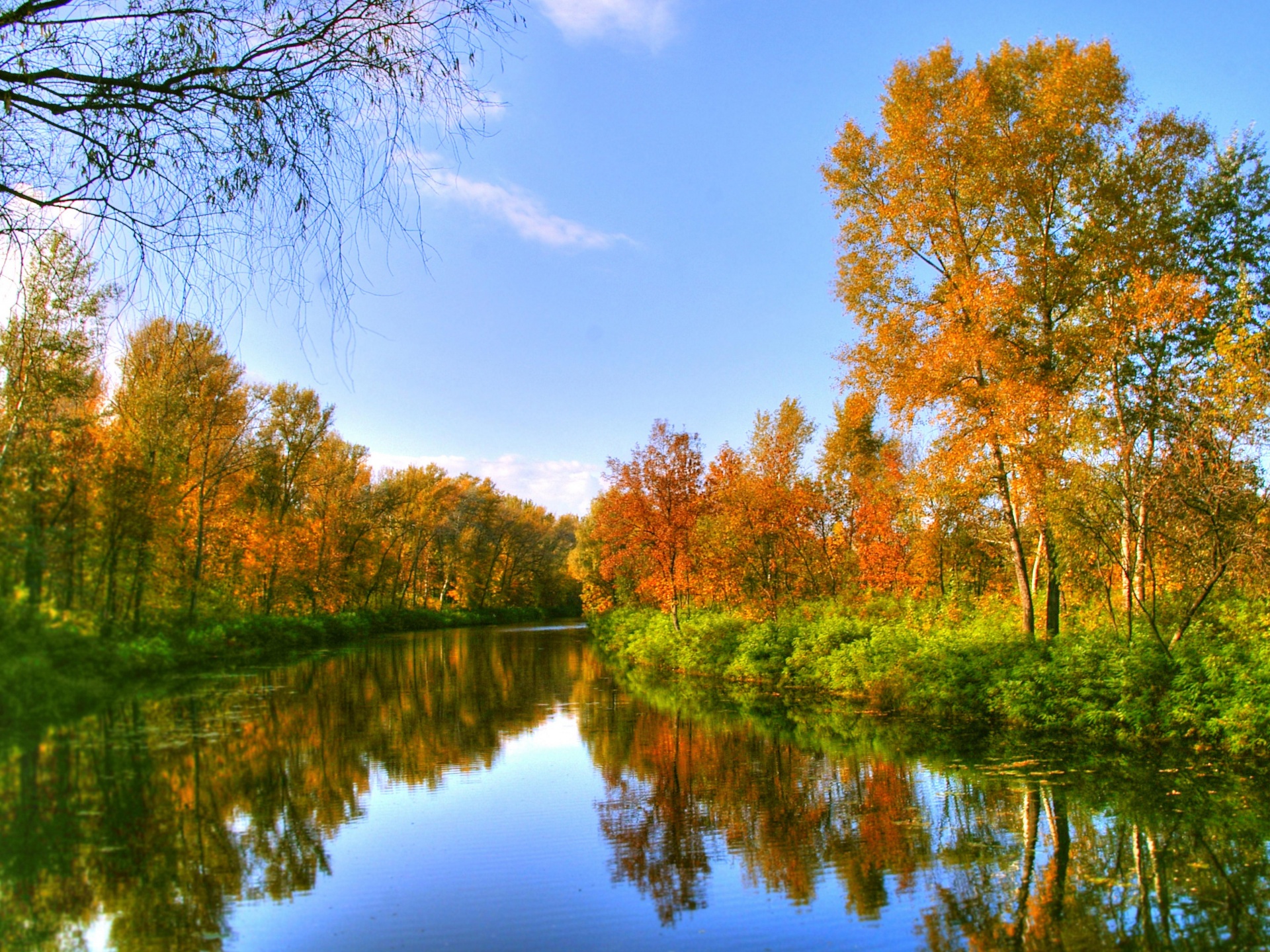 Autumn Color And River