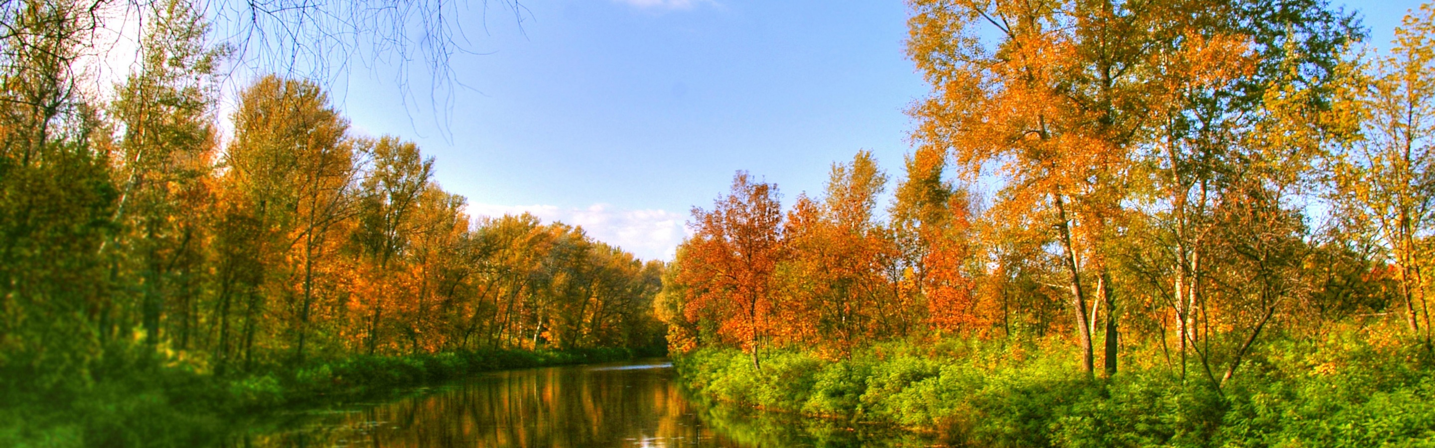 Autumn Color And River