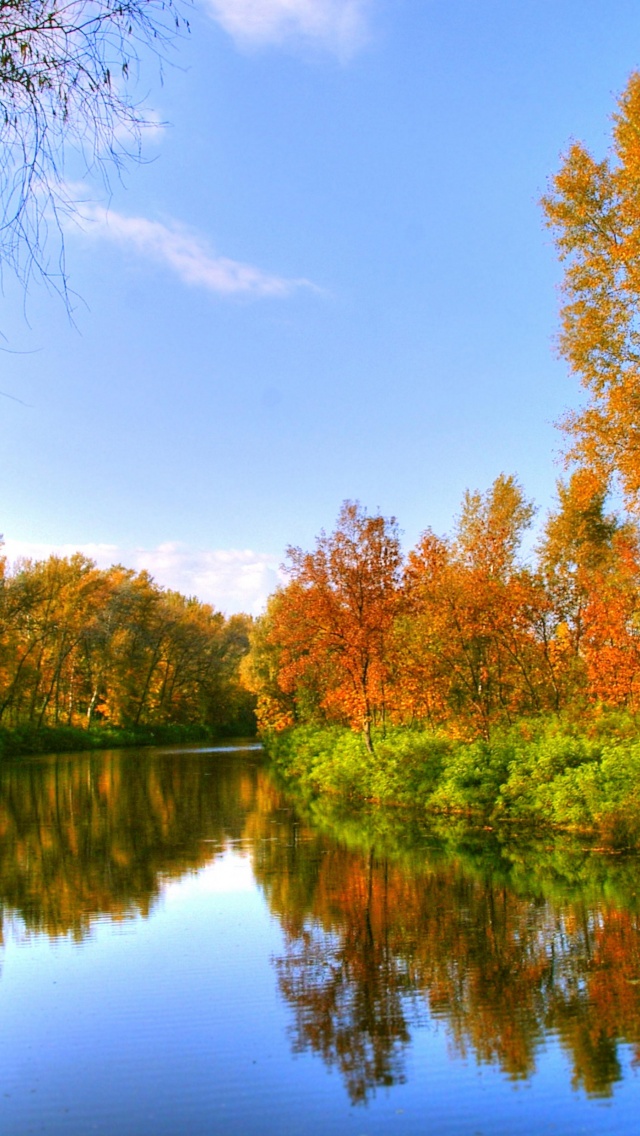 Autumn Color And River