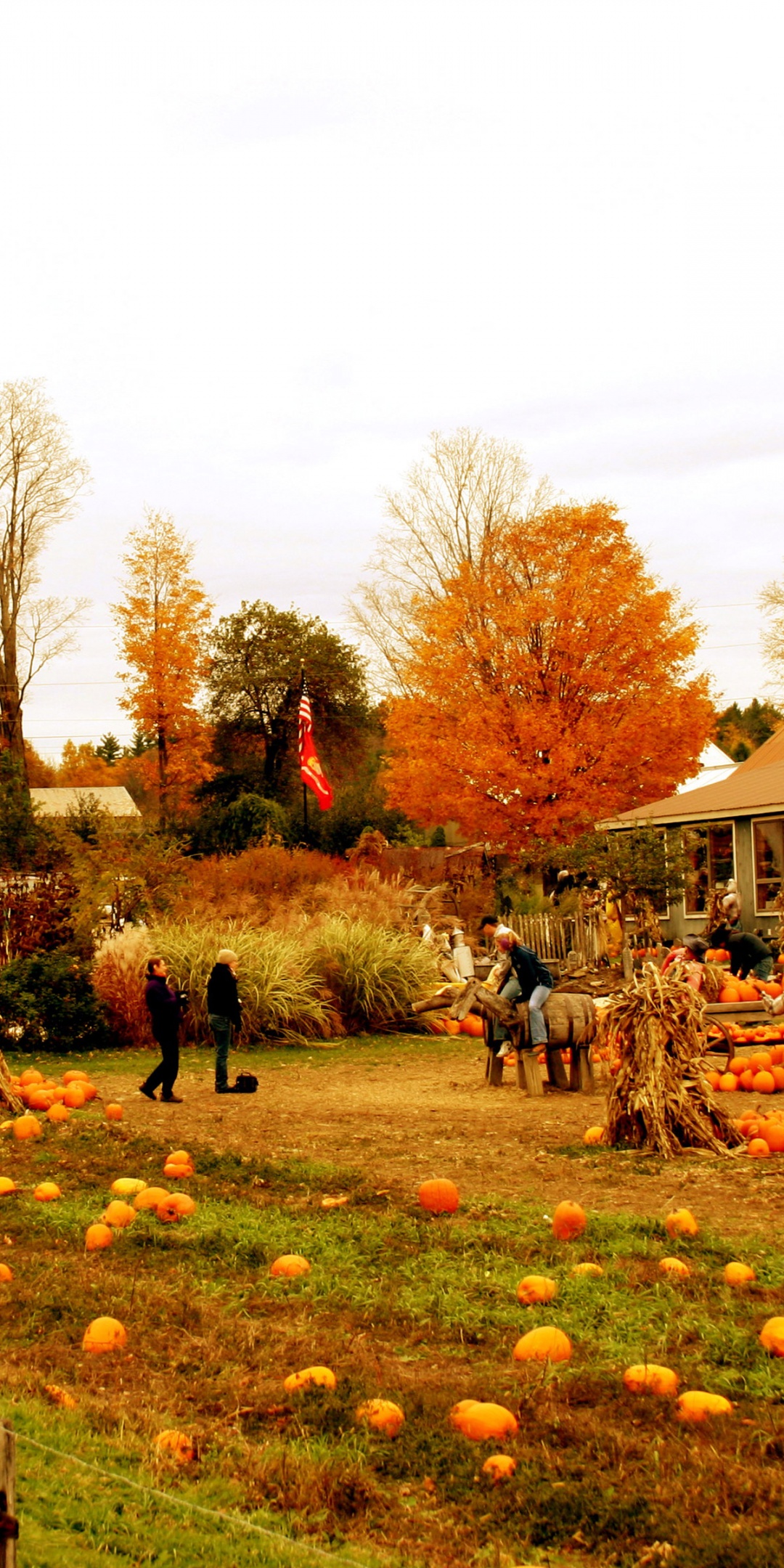 Autumn Pumpkin Festival