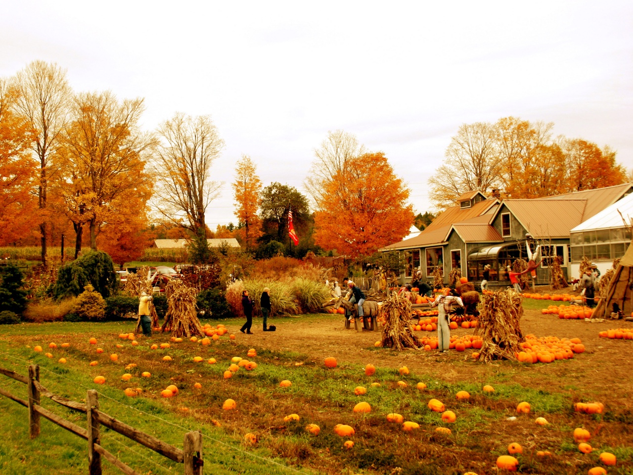 Autumn Pumpkin Festival