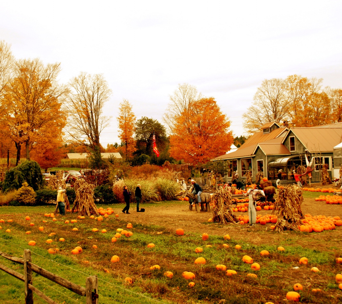 Autumn Pumpkin Festival