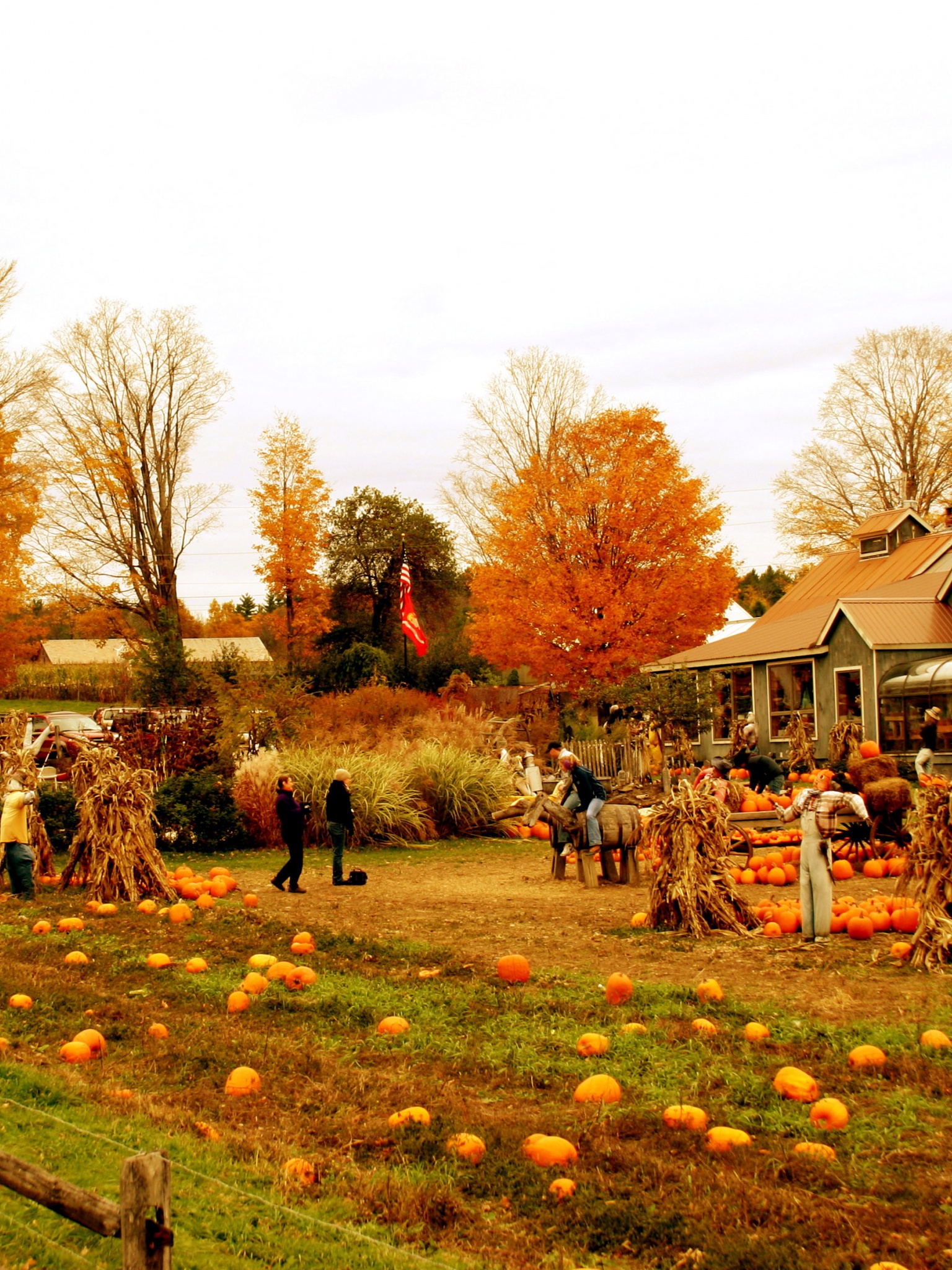 Autumn Pumpkin Festival